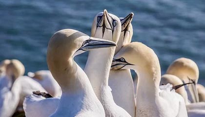 九游体育-基层足球人才流失现象分析，我国足球青少年人才培养存在的问题