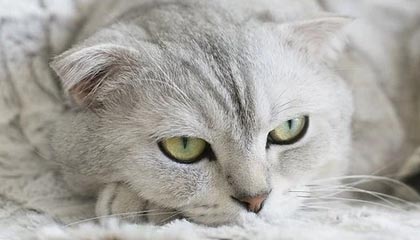 九游体育-基层足球人才流失现象分析，我国足球青少年人才培养存在的问题